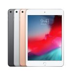 iPad mini 2019